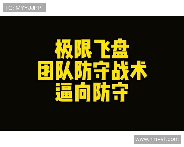 南京飞盘队反击战术解析与实战应用探讨